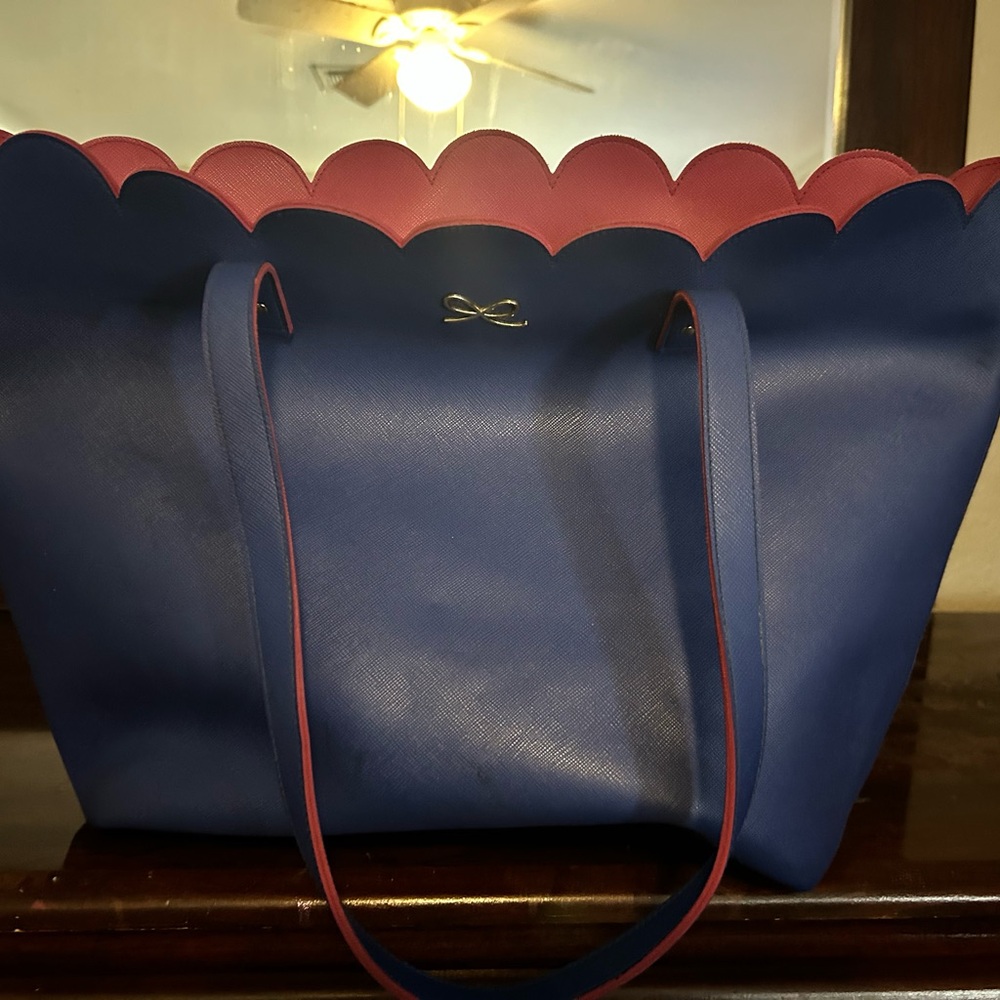 BBW Blue and PinkTote Bag
